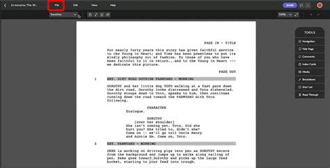 Write from Anywhere with Celtx .
